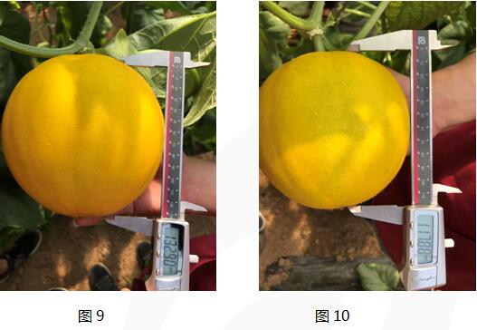 QQ截图20170728142037.jpg